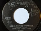 PRECIOUS COSMIC CESSION Going To The Triangle STARMAN Rare Unknown Rock 45 HEAR