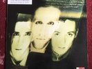 THE WILD SWANS BRINGING HOME THE ASHES LP RECORD PROMO