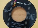 RARE Garage R&B The Us Four Alligator Rising Sons