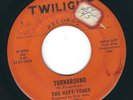 Teen Doo wop The Haff-Tones TWILIGHT 001/2 Turnaround / I need you ?