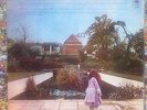TREES - ON THE SHORE  LP RECORD