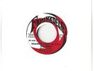 ROSE WILLIAMS/GEORGE CLINTON & FUNKADELICS - Whatever Make My Baby Feel Good  NM