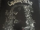 Capability Brown - From Scratch - 1972 Vinyl LP