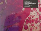 PINK FLOYD  Their First Recordings 1965  EP 2 x Single 7 