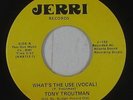 70s Soul 45 - Tony Troutman - What's The Use - Jerri - mp3