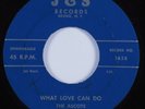 Doo Wop 45 ASCOTS What Love Can Do J&S HEAR