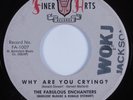 Doo Wop 45 FABULOUS ENCHANTERS Why Are You Crying? FINER ARTS HEAR