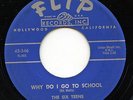 Hear- Rare Teen / Doo Wop 45- The Six Teens & Trudy- Why Do I Go To School- Flip