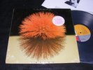 YUTAKA YOKOKURA LP w Dave Grusin 1981 US Issue LOVE LIGHT ALFA ISSUE Shrinkwrap