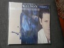 BRIAN WILSON SOLO LP RSD 2015 EXPANDED EDITION BLUE SWIRL DOUBLE VINYL