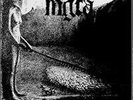 MGLA - mdlosci / further down the nest LP