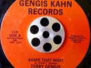 TERRY GENGIS  - Shape that body - 45 rare BOOGIE FUNK/MODERN SOUL listen 80's