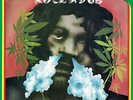 Page One - Rock-a-dub [New Vinyl LP]
