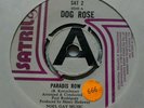 RARE PSYCH ROCK 45 Dog Rose Paradis Row/ Sunday Morning SATRIL PROMO S2 SAT2 72