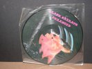 Black Sabbath  PARANOID   Picture Disc