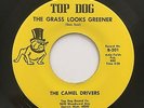 THE CAMEL DRIVERS The grass looks greener Mod Garage Psych 45 (Top Dog) *HEAR