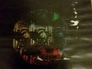 John Morgan lp