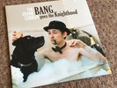 The Divine Comedy ?– Bang Goes The Knighthood Ltd Ed Vinyl 2010 - DCRL101LP