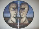 Pink Floyd ''The Division Bell'' Lp Vinyl 12'' Picture Disc Record
