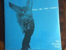 RARE OOP Sunny Day Real Estate Rising Tide LP Vinyl EMO Jeremy Enigk Record GRN
