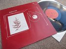 ? ? PINK FLOYD SURVIVOR SYD BARRETT PSYCH ROCK TMOQ