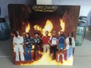 Lynyrd Skynyrd - Street Survivors - 1977 MCA Vinyl LP Album Flames Cover VG/VG+