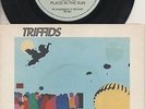 THE TRIFFIDS   Rare 1st 1982 Aust Only 7