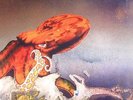 GENTLE GIANT - Octopus - Vinyl (gatefold LP)