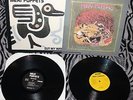MEAT PUPPETS 2 LP RECORDS Curt Kirkwood 