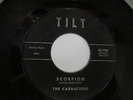 Carnations 45 on Tilt 