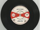 STRANGER COLE / COW IN A PASTURE / 7''/ VG+