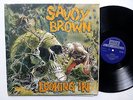 SAVOY BROWN Looking In LP Decca-5066 U.K.1st press BLUES Rock   sm744