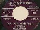 JIMMY BURKE & THE SEQUINS RARE DETROIT FORTUNE DOO WOP #537 FORBIDDEN LOVE