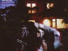 Bat for Lashes - Fur and Gold