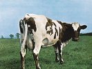 Pink Floyd - Atom Heart Mother [Vinyl New]