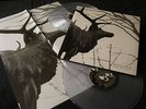 Agalloch - The Mantle - Gatefold Double LP clear vinyls incl. poster sealed