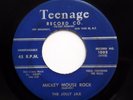 JOLLY JAX 45 Mickey mouse rock / Walk on TEENAGE  Doowop Dm267