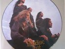PARADISE LOST Gothic PICTURE DISC VG+ COVER VG+