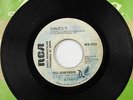 THE SWEET Miss Demeanour / Fox on The Run El Salvador DICESA PROMO  45