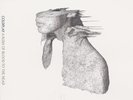 COLDPLAY - A RUSH OF BLOOD TO THE HEAD  VINYL LP 11 TRACKS PROGRESSIVE ROCK NEW