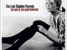 Age Of The Understatement - Last Shadow Puppets (2008, Vinyl NEUF)