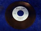 The New Era - We Ain't Got Time ? RARE MICHIGAN GARAGE SHEFFIELDS FENTON RELATED