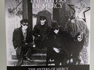 The Sisters Of Mercy: The Garden Of Delight (orange vinyl)