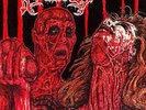 AVULSED - Carnivoracity LP Spawn Of Possession Beheaded Gorguts Devourment Grave