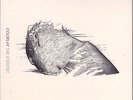 COLDPLAY - The Scientist  (ps) 7