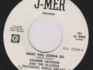 Johnny Jackson & The Blazers 