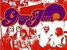 Moby Grape - Grape Jam (2007)