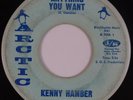 KENNY HAMBER: Anything You Want NORTHERN SOUL Arctic MONSTER 45 Rare HEAR