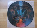 Dismember / like an ever flowing stream / Picture Disc / picture vinyl / Picture