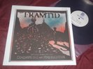 FRAMTID-Consuming Sh*t and Mind Pollution LP TEST PRESSING